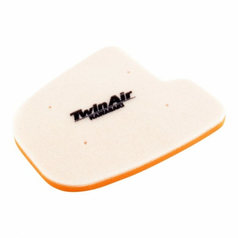 Filtre à air Twin air 151911