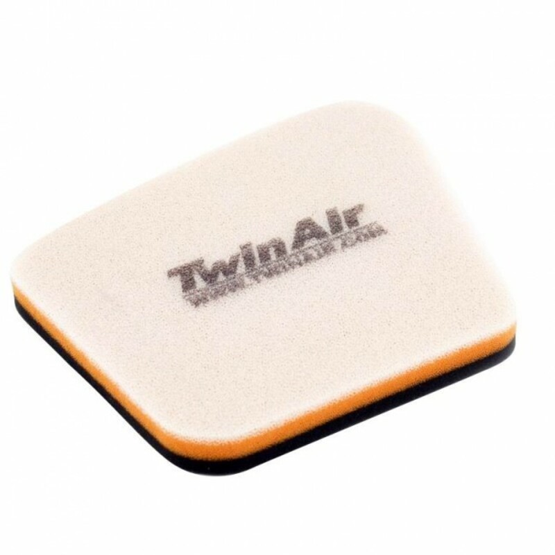 Filtre à air Twin air 151605