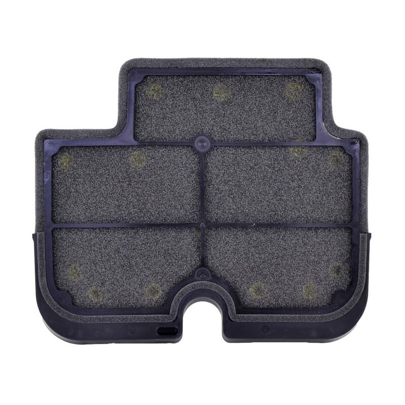 Filtre à air Tecnium 110290011