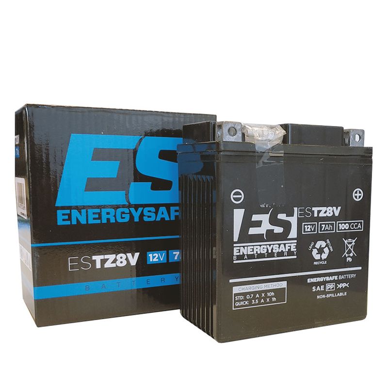 Batterie EnergySafe ESTZ8V ferme Type Acide Sans entretien/prête à l'emploi