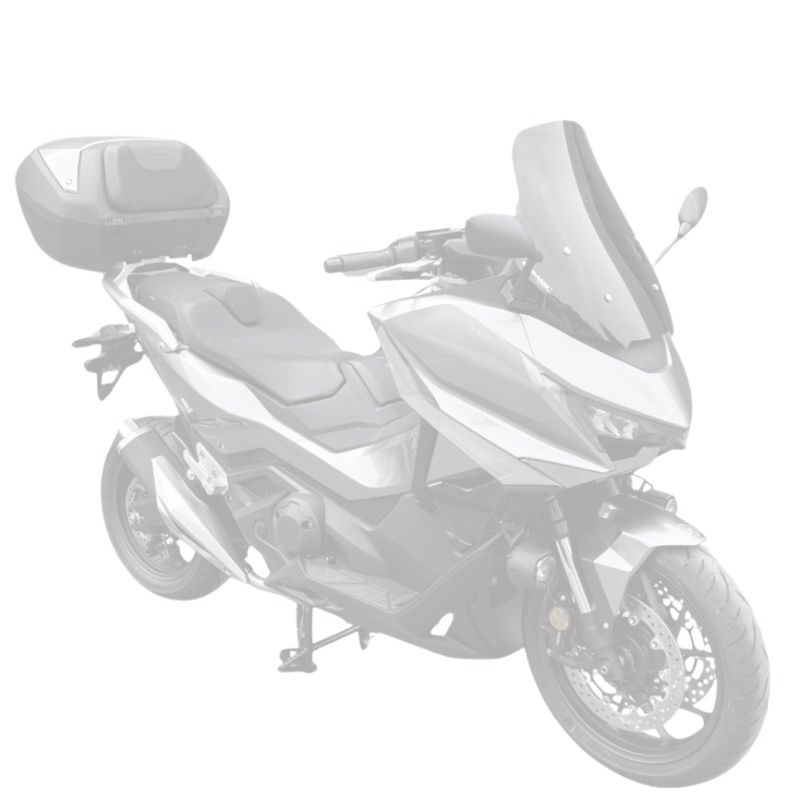 Pare brise Ermax taille origine (50 cm)