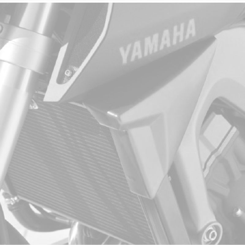 Ecope de radiateur Ermax