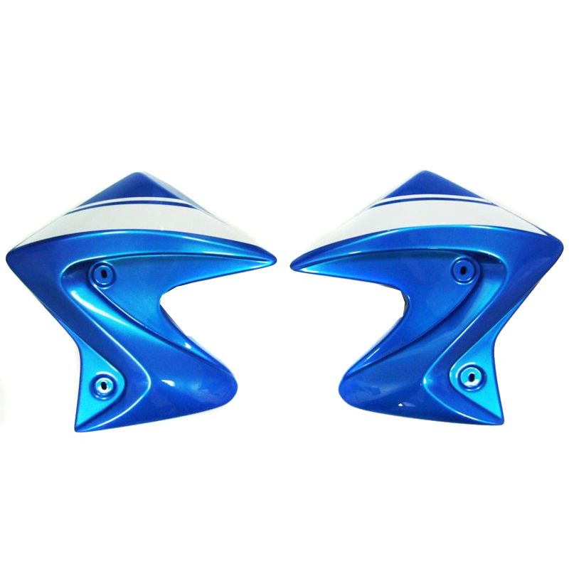 Ecope de radiateur Ermax SUZUKI SV 650 2016-