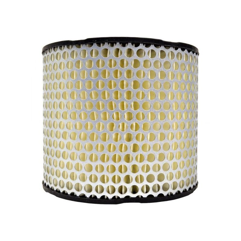 Filtre à air Emgo Type Adaptable