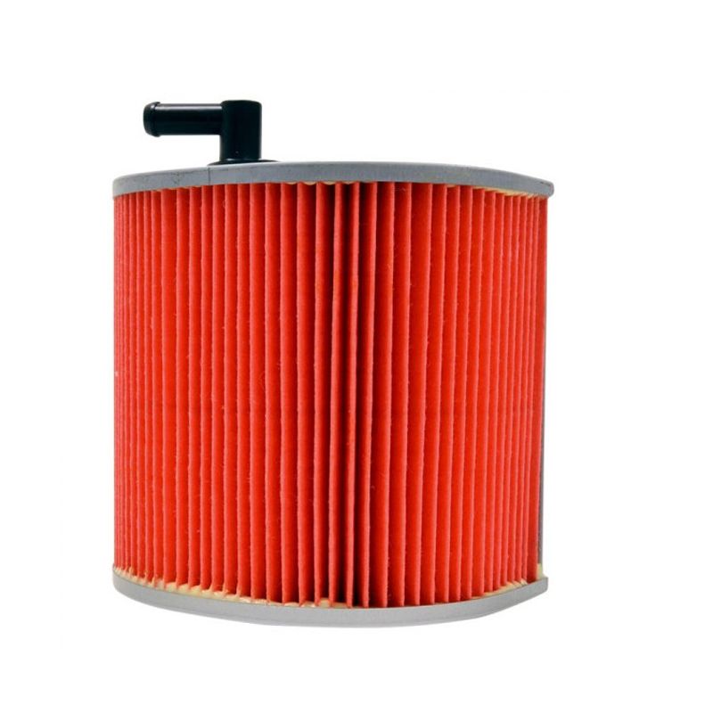 Filtre à air Emgo Type Adaptable