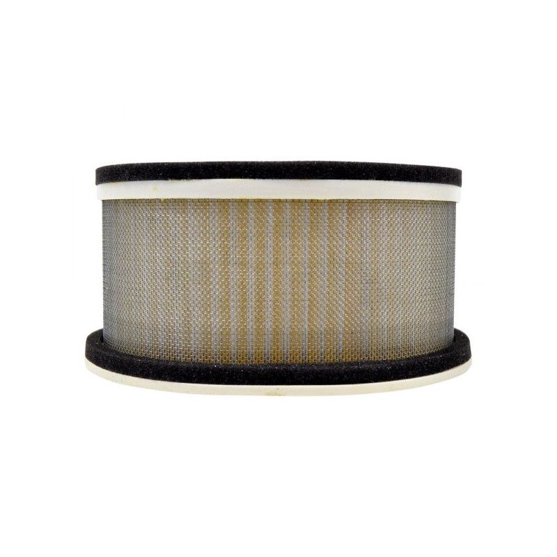 Filtre à air Emgo Type Adaptable