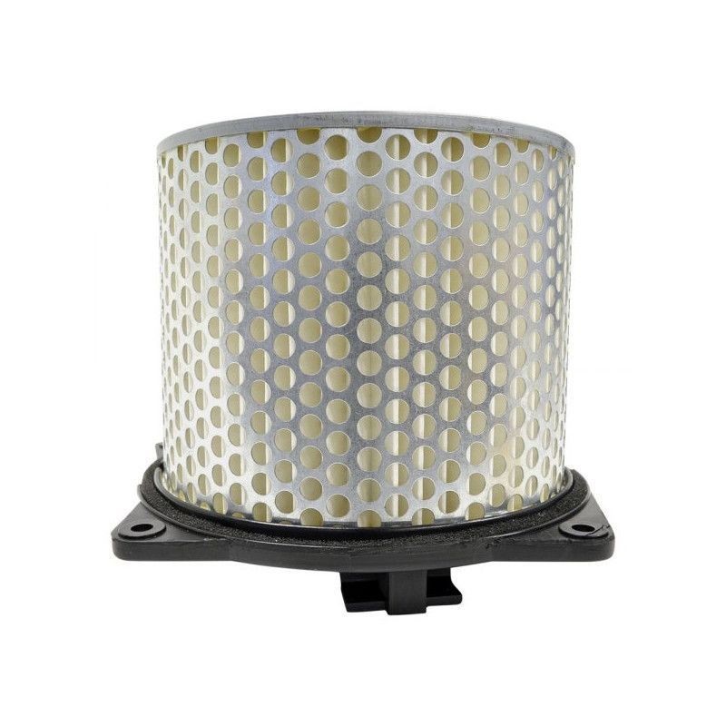 Filtre à air Emgo Type Adaptable