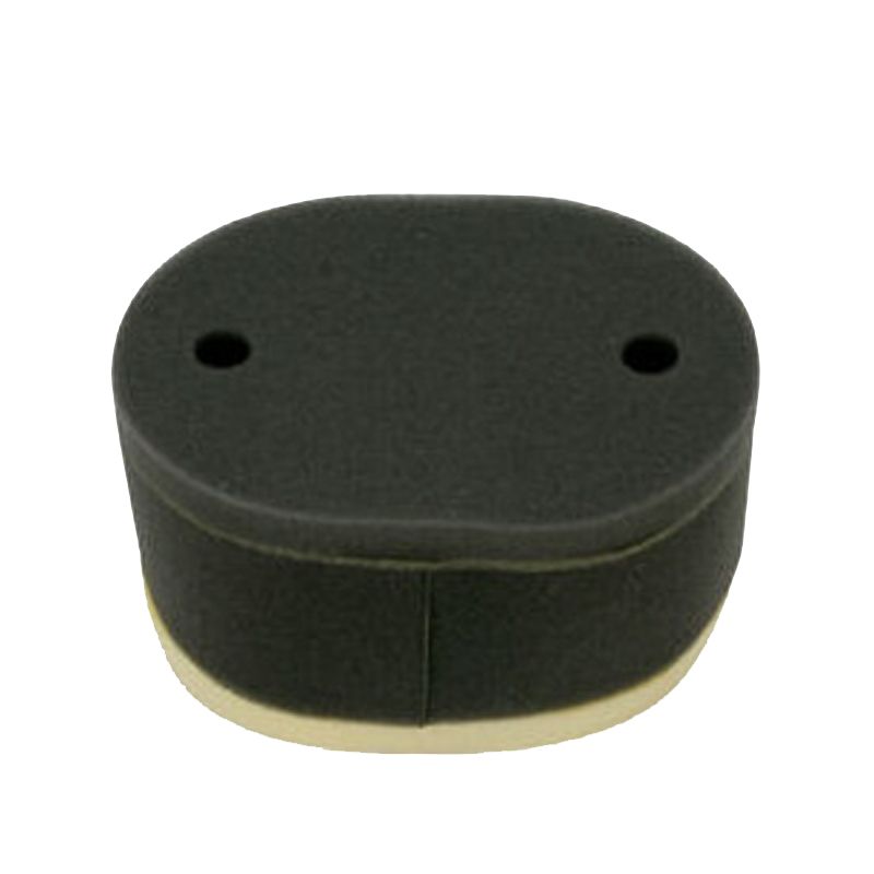 Filtre à air Emgo Type Adaptable