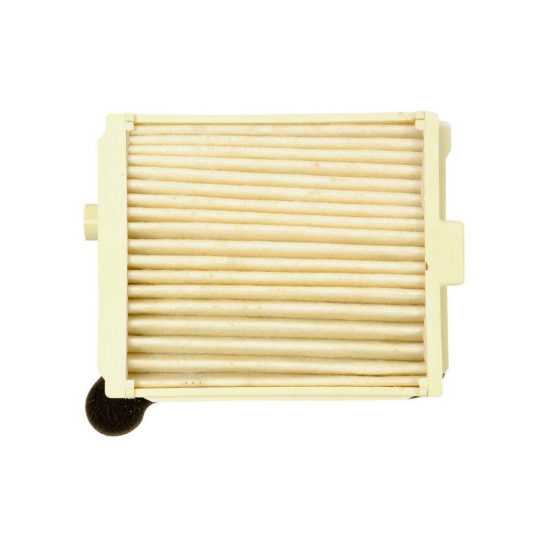 Filtre à air Emgo Type Adaptable