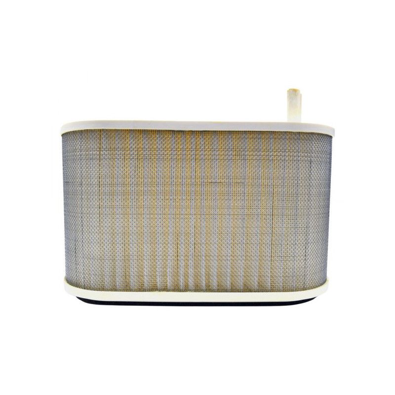 Filtre à air Emgo Type Adaptable