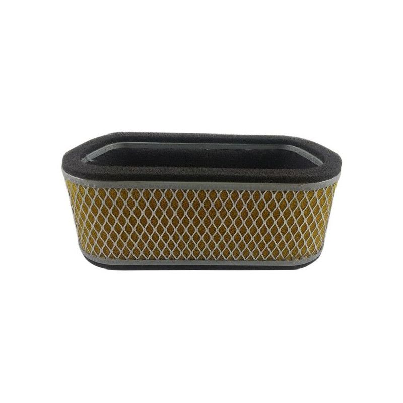 Filtre à air Emgo Type Adaptable