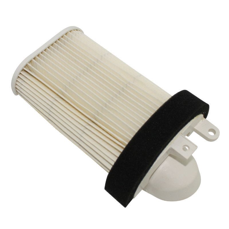 Filtre à air Emgo Type Adaptable