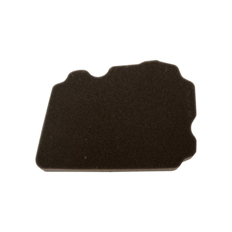 Filtre à air Emgo Type Adaptable