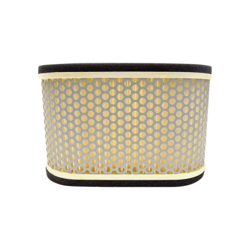 Filtre à air Emgo Type Adaptable