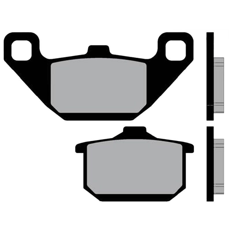 Plaquettes de freins Brenta Sinter Métal Fritté avant/arrière (selon modèle)