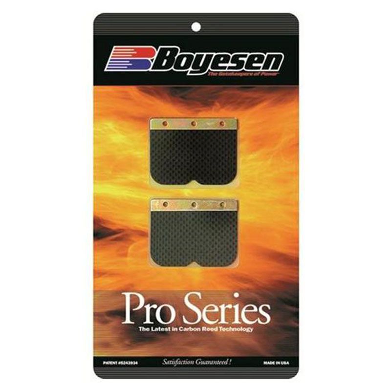 Clapets carbone Boyesen clapets de rechange boyensen