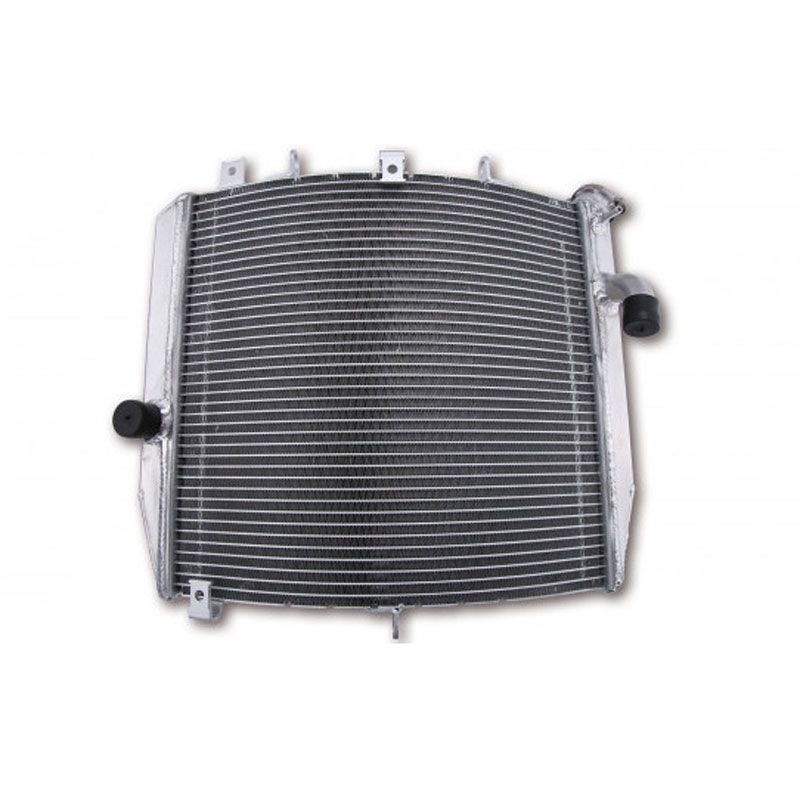 Radiateur Brazoline A EAU ADAPTABLE