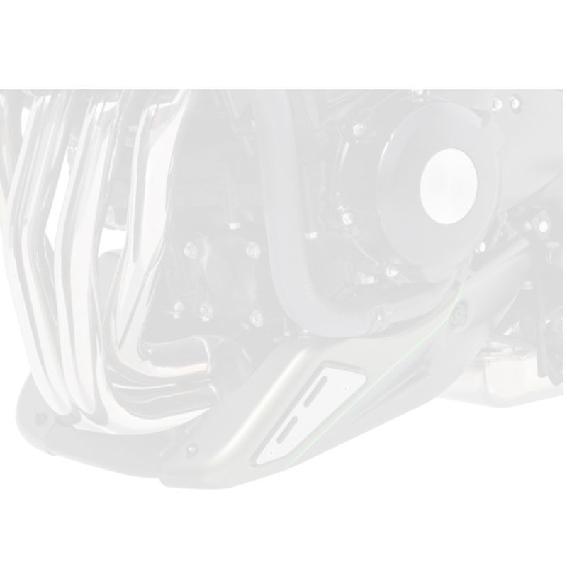 Sabot moteur Ermax KAWASAKI Z900 RS