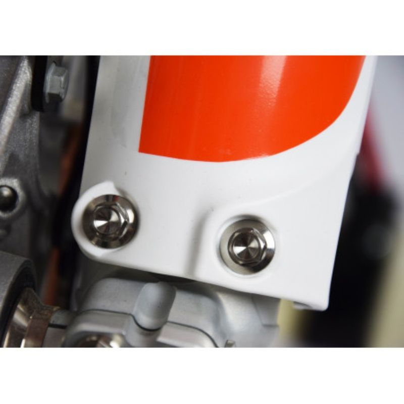Vis protection de fourche Scar Titanium HEX HONDA 6x M6 x 11