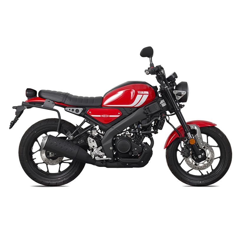 Support valises Shad 3P SYSTEM