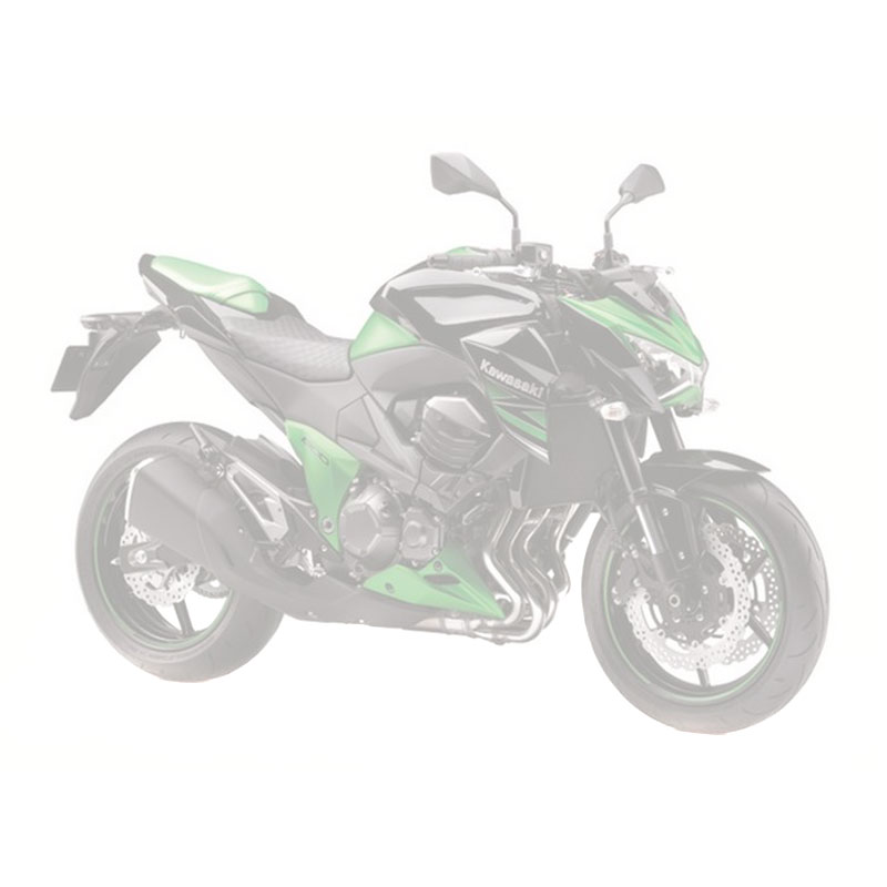 Kawasaki 800 Z 800 E 2016
