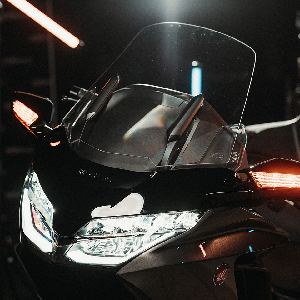 Goldwing_closup_2