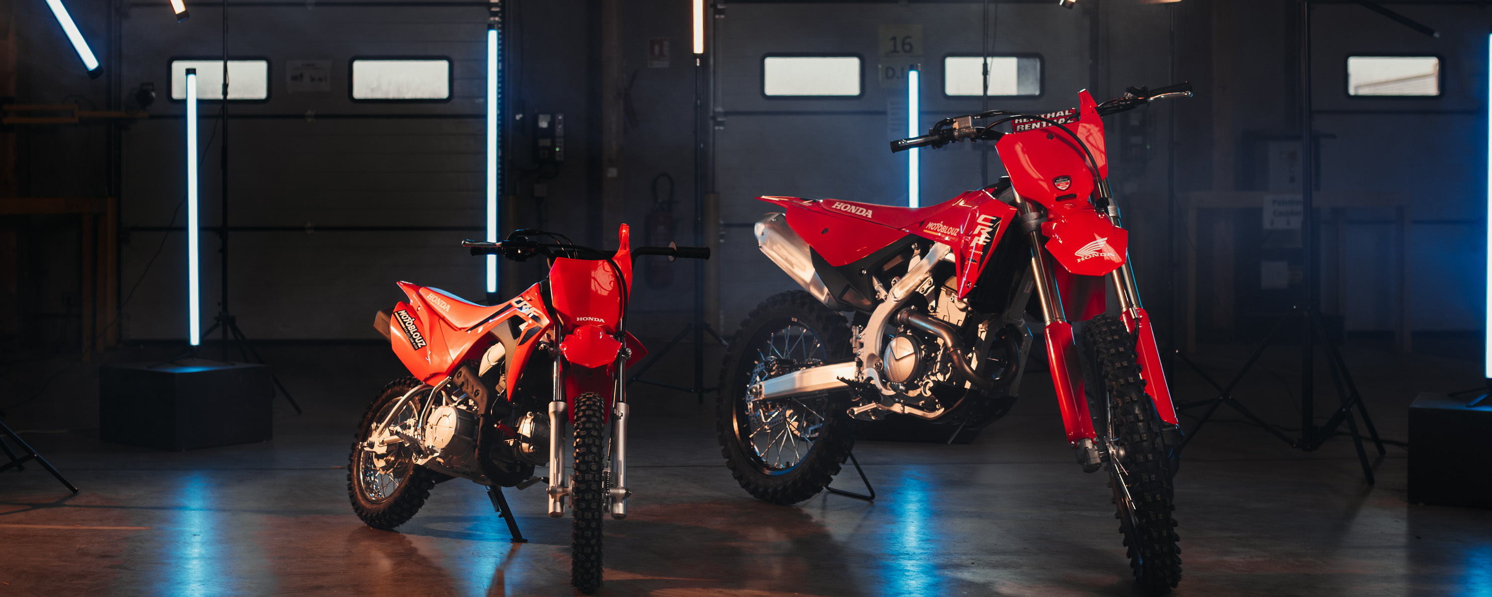 CRF_full