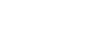 Logo Raylier